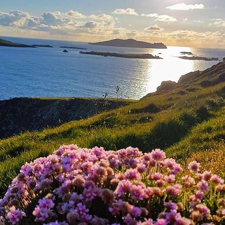 The Plough B&B Ventry Zewnętrze zdjęcie