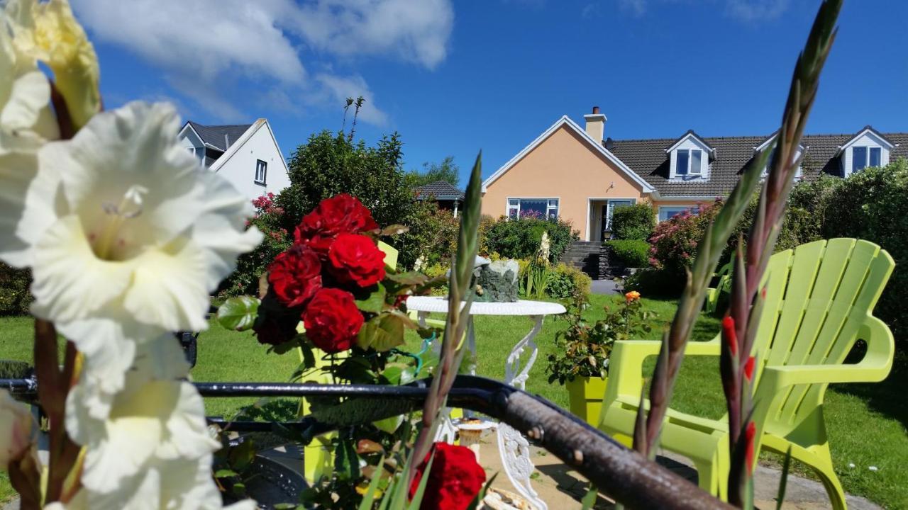 The Plough B&B Ventry Zewnętrze zdjęcie