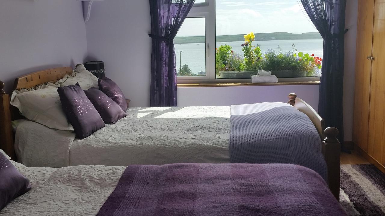 The Plough B&B Ventry Zewnętrze zdjęcie